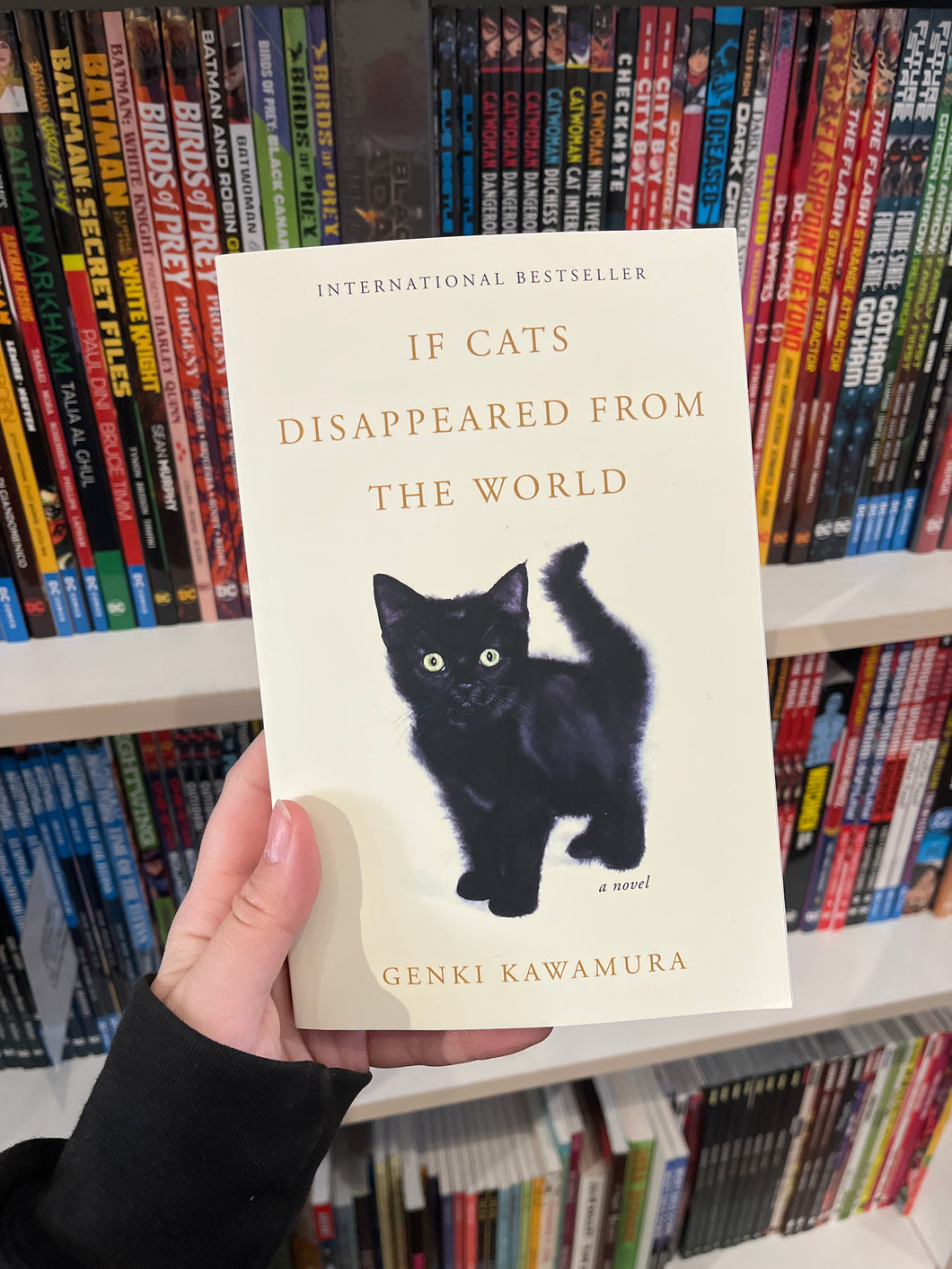 If Cats Disappeared From The World by Genki Kawamura