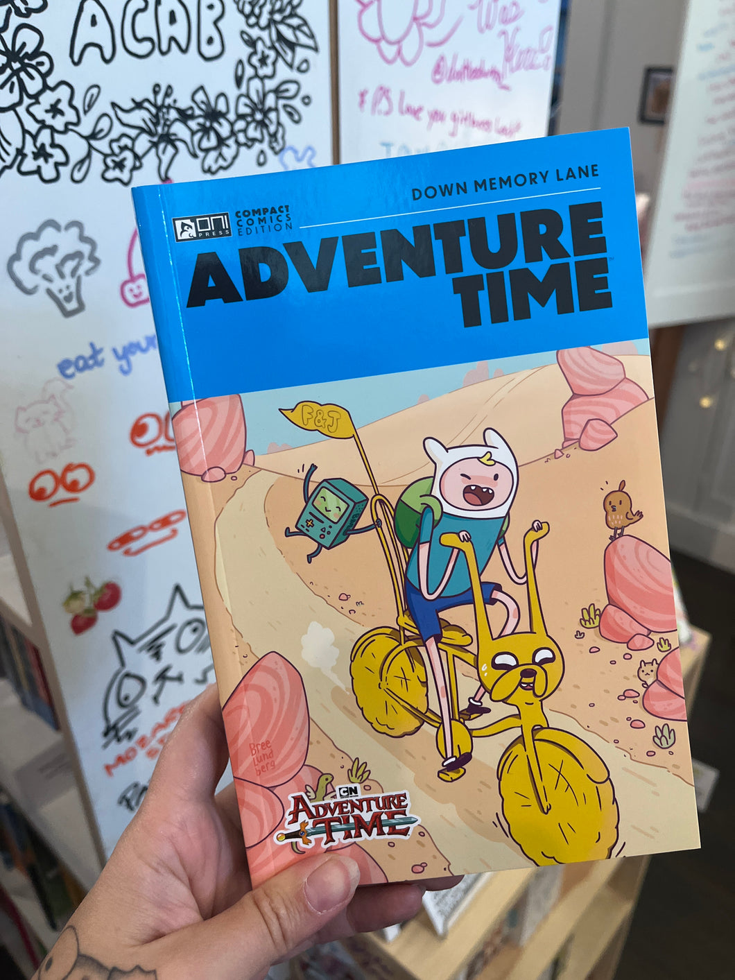 Adventure Time Down Memory Lane paperback