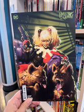 Load image into Gallery viewer, (cardstock) Harley Quinn 42
