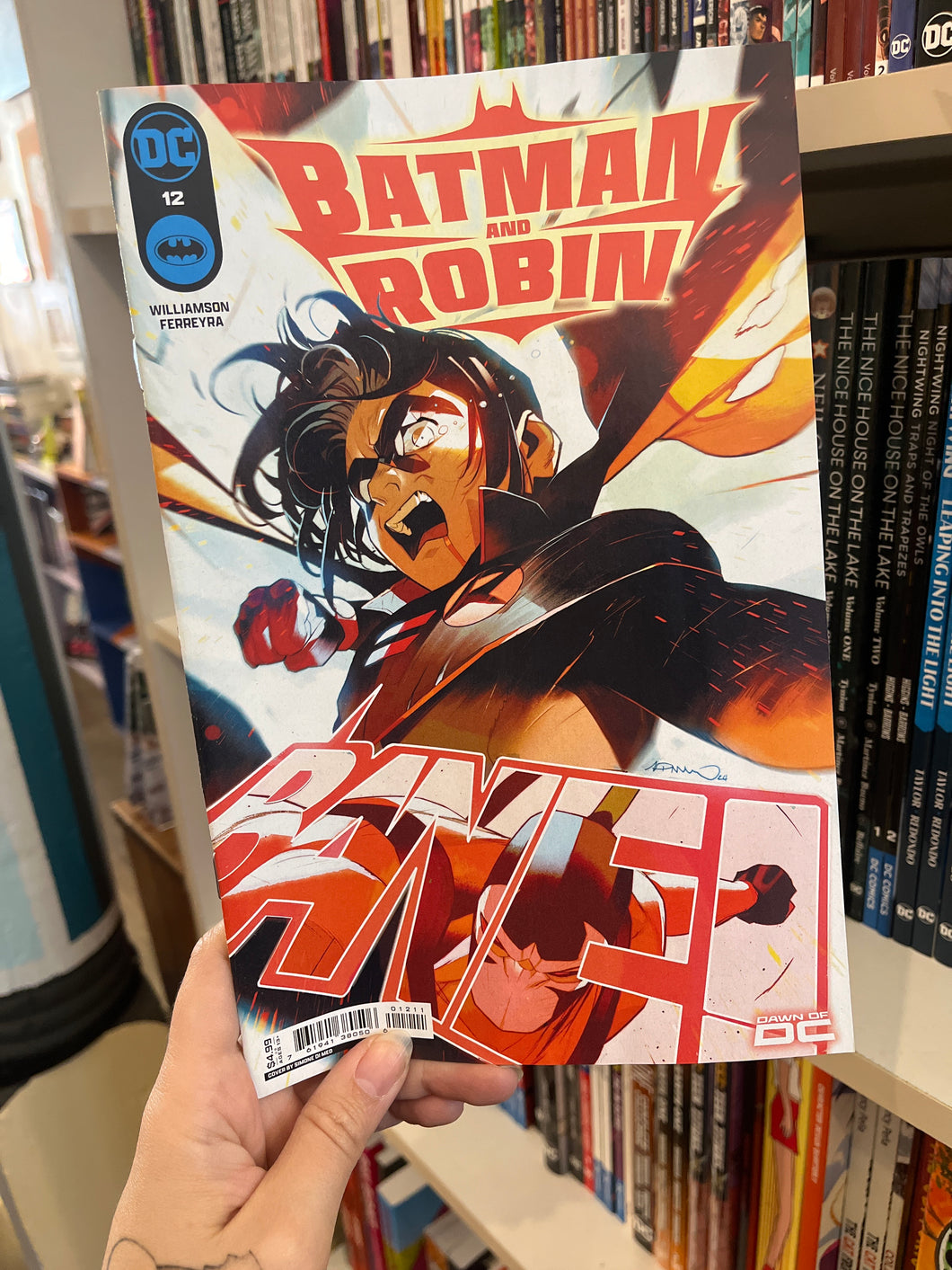 Batman and Robin 12