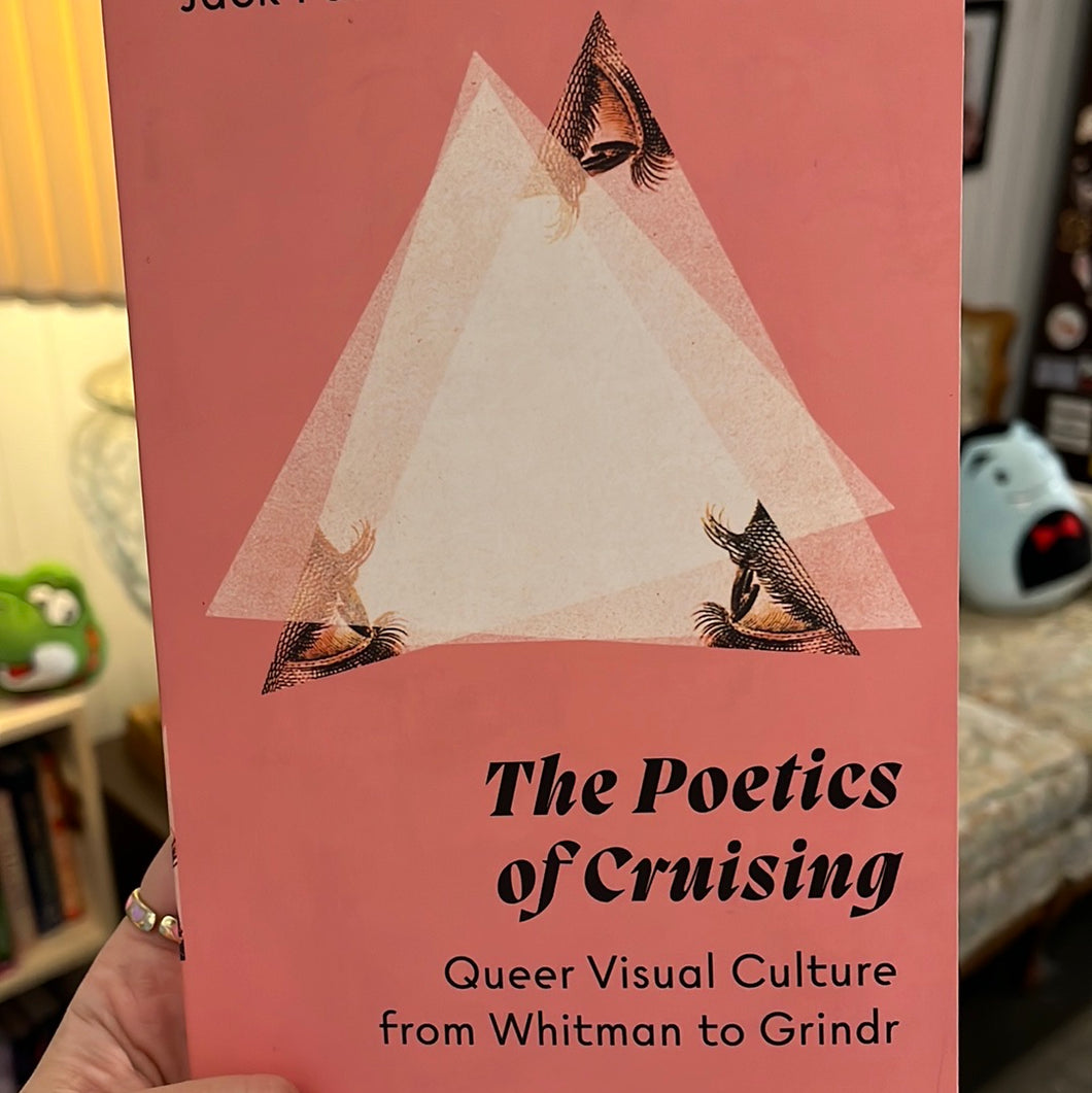 the poetics of cruising
