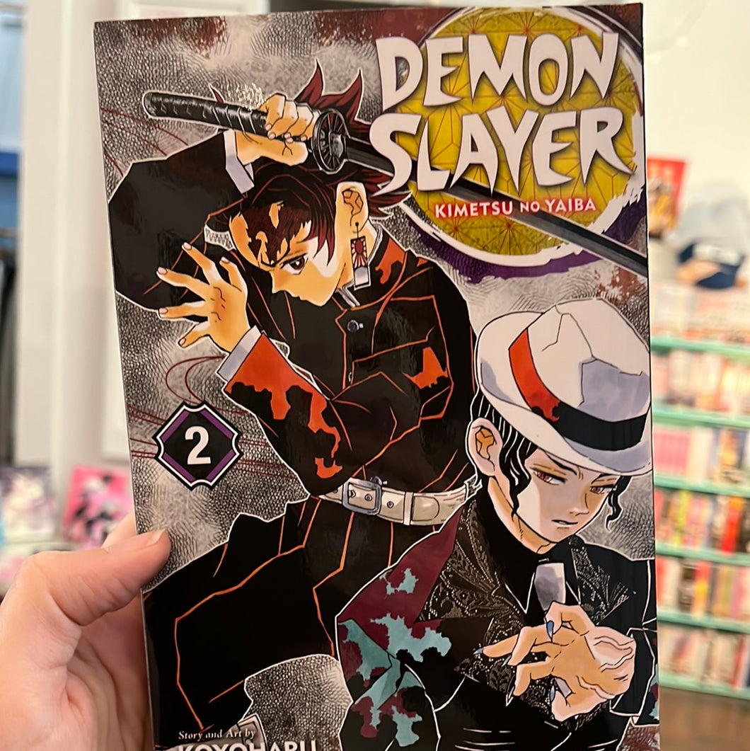 demon slayer: kimetsu no yaiba vol 2