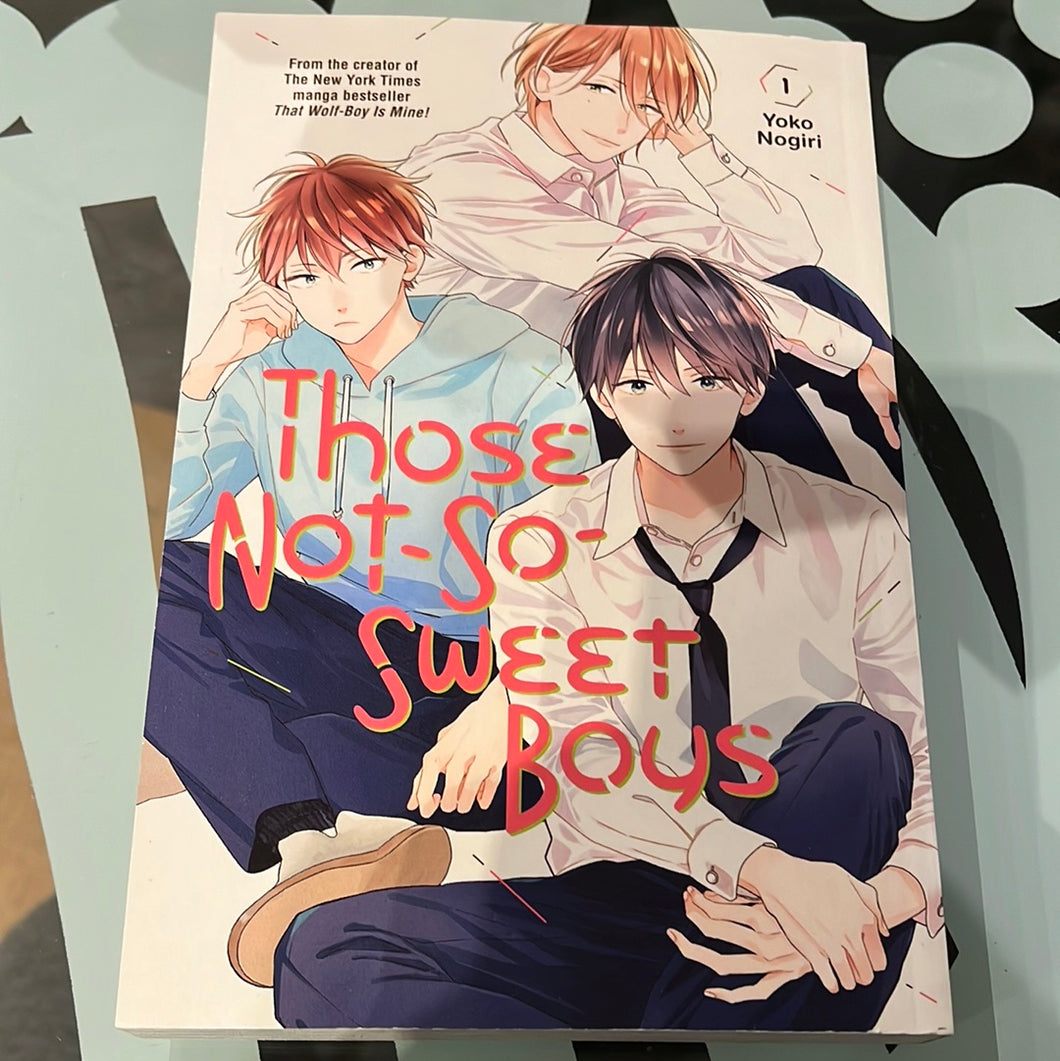 Those Not-So-Sweet Boys vol 1