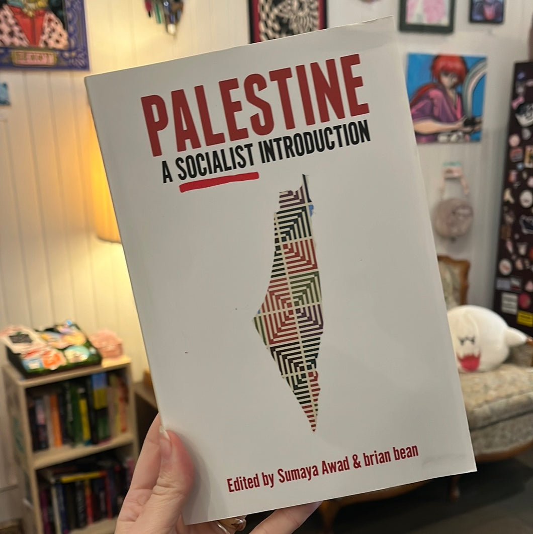 Palestine: A Socialist Introduction