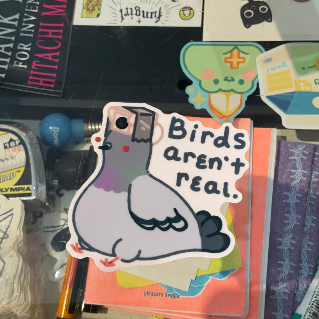 it’s kleine! Birds aren’t real sticker