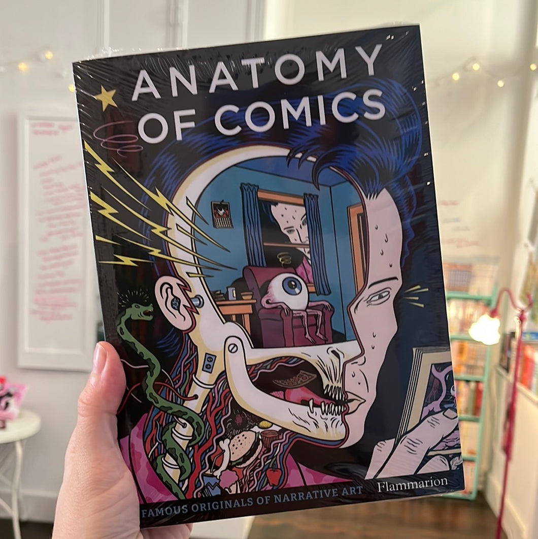 Anatomy of Comics